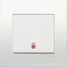 45A 250V DOUBLE POLE SWITCH WITH NEON, WE